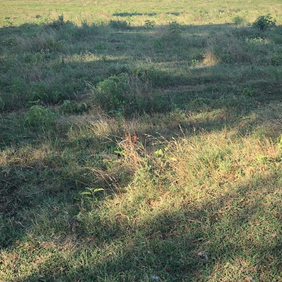 Meet your Posher, Rebecca - Picture 1 of 1